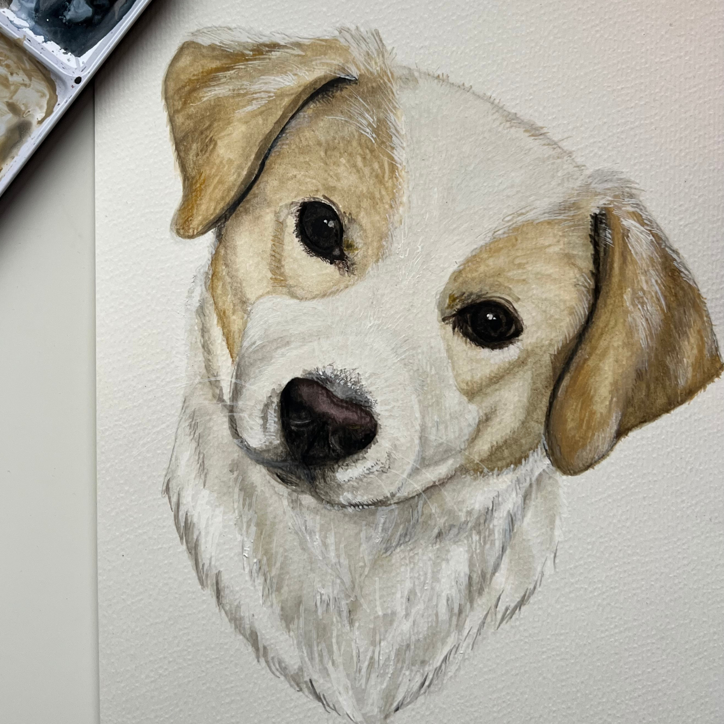 Custom Watercolour Pet Portrait